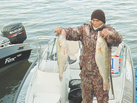 Рыболовные новости из Астрахани