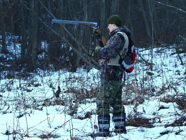 Изображение На Камчатке с начала года поймали 15 охотников-нарушителей