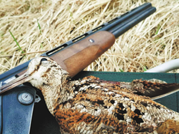 В Калужской области утвердили сроки весенней охоты