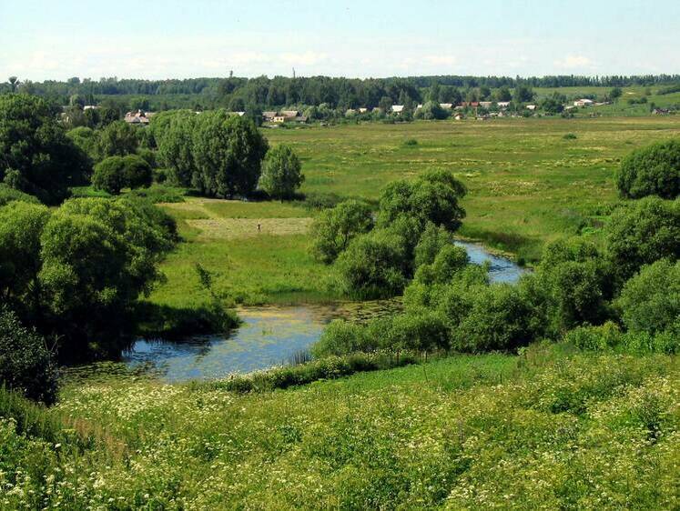 Изображение Под Калининградом женщина ответит в суде за рыбалку с сетями