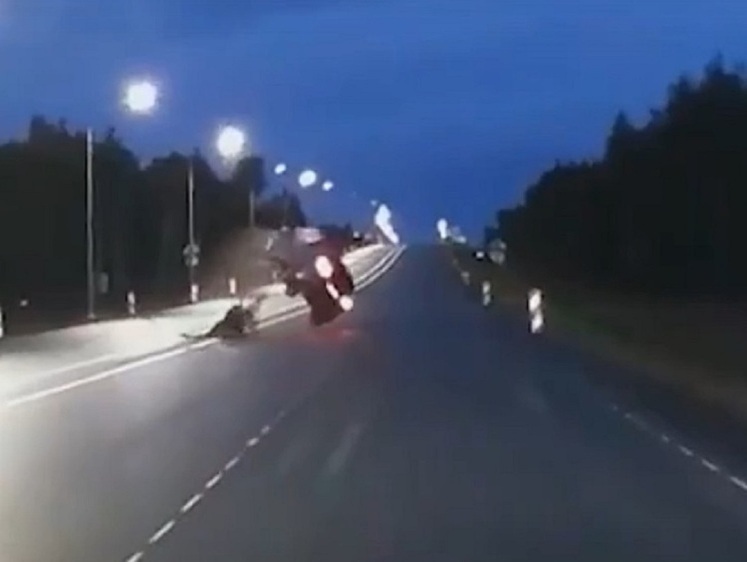 Под Ярославлем автомобиль взлетел от удара о тушу лося (фото)