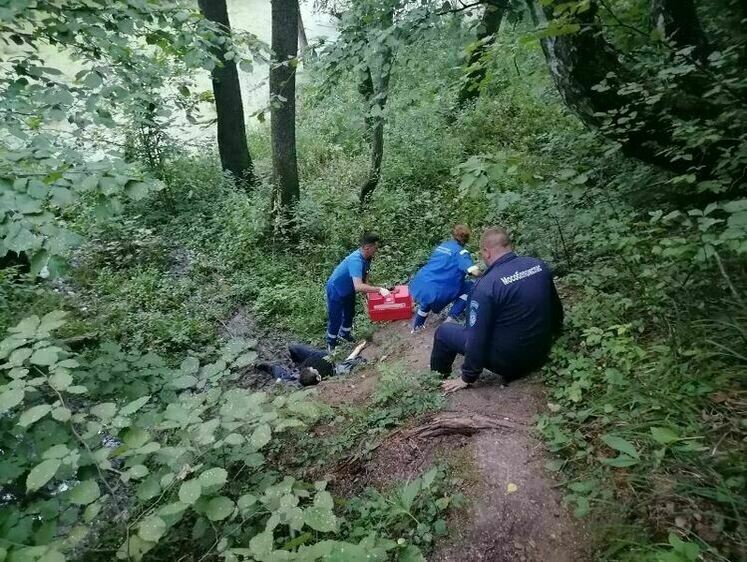 Изображение Пенсионерка в Подмосковье заблудилась и собралась ночевать на дереве