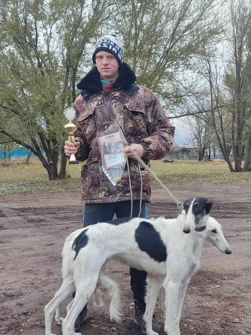 От зайцев и лис до борзых собак: в поисках своего чемпиона - Охотники.ру