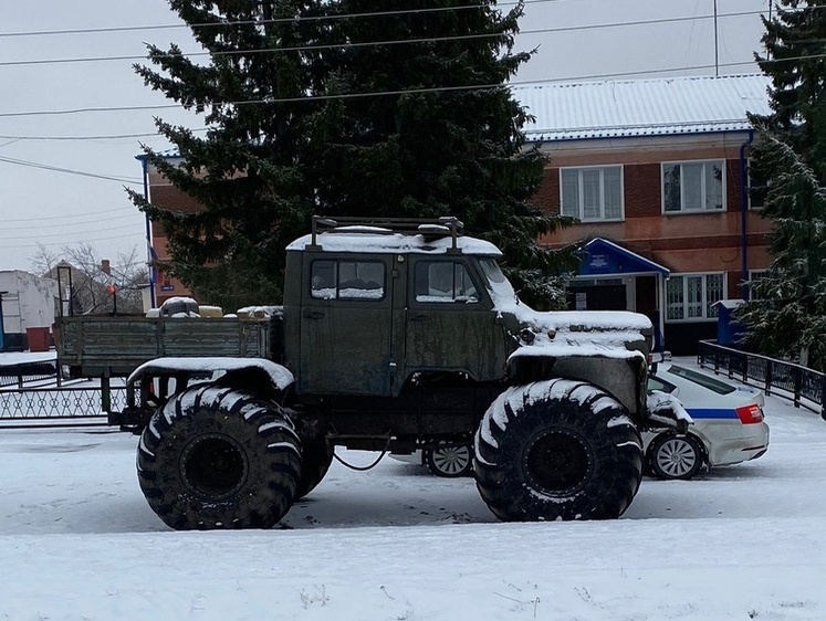  Незаконную добычу лося не удалось скрыть новосибирским охотникам