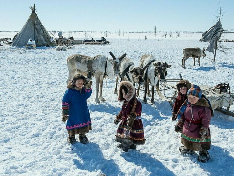 Изображение В Иркутской области власти выдали оленеводам 3 миллиона рублей