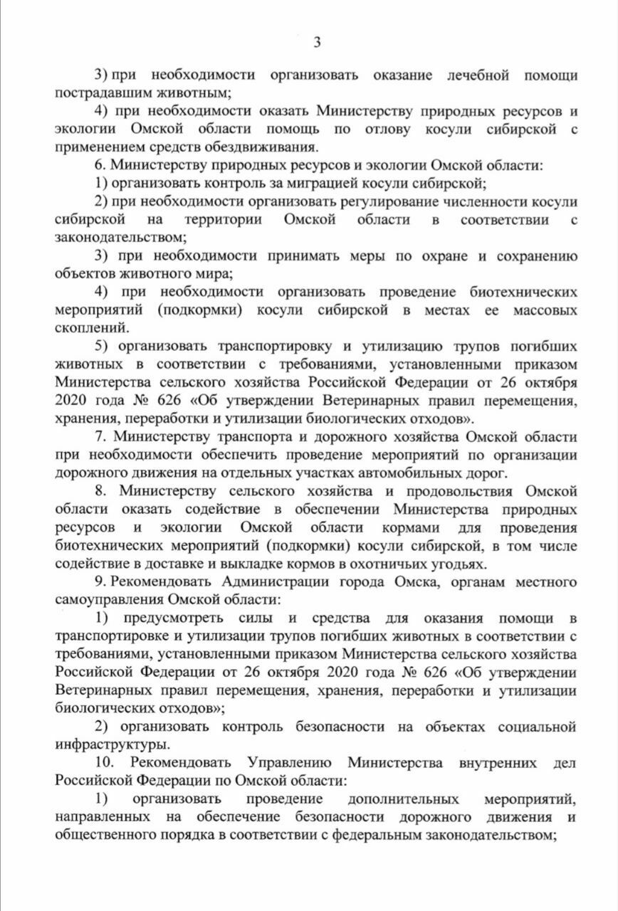 Сибирский регион захватили косули. В режиме повышенной готовности -  Охотники.ру