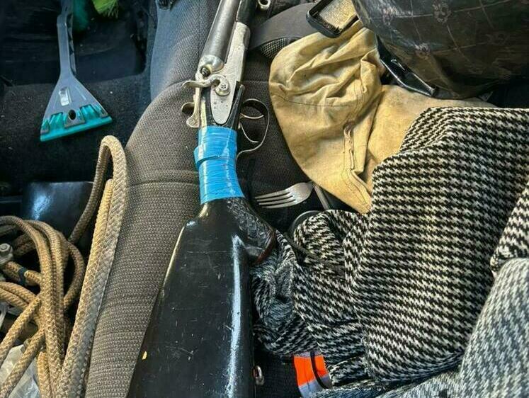 Изображение Кузбассовец застрелил собаку из охотничьего ружья