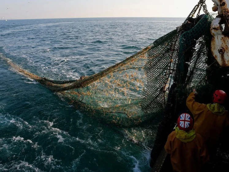 Эй, англичане, выходи из нашего моря: РФ расторгает рыбный договор