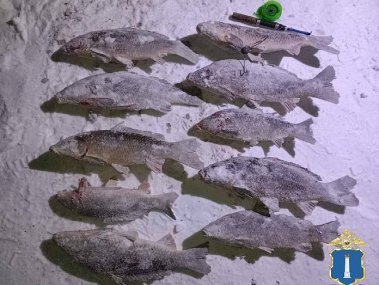 Изображение Димитровградские полицейские задержали багрильщика рыбы