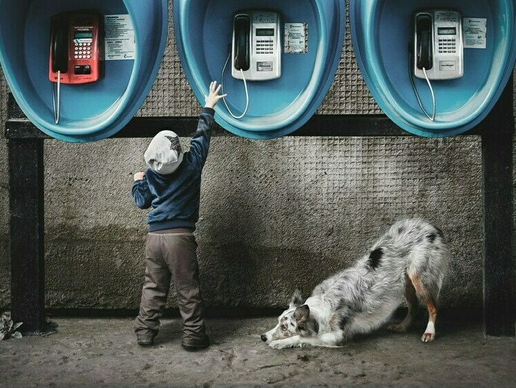 В Петербурге появится реклама о гуманном отношении к животным