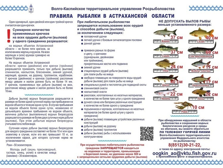 Изображение Росрыболовство напоминает правила рыбалки в Астраханской области