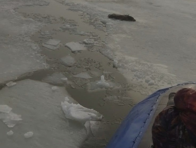 Изображение Казанский пенсионер чудом не остался под водой во время рыбалки