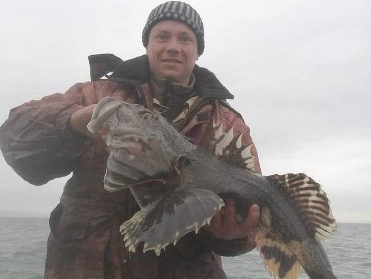 Изображение Рыбак Владивостока выловил в бухте жуткого бычка-акселерата (фото)