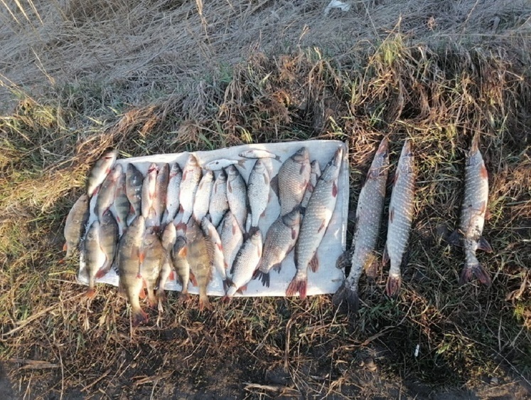Изображение В Красноярском крае участковые задержали двоих рыбаков с сетями
