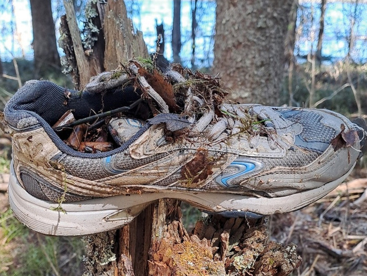Изображение В карельских лесах продолжают находить вещи двух пропавших рыбаков