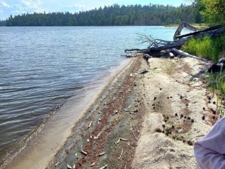Изображение В бурятском озере Котокель вода заражена опасными бактериями