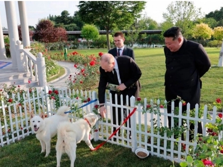 Двух симпатичных собак вручили президенту Путину в КНДР
