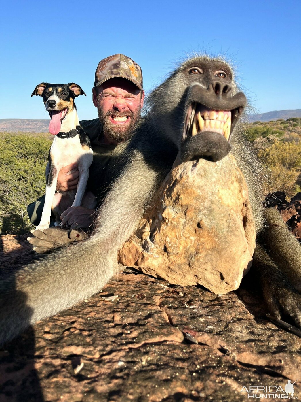 Охота на бабуина в ЮАР