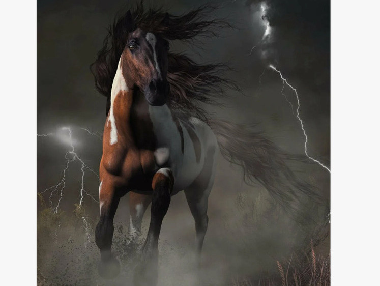 Изображение В Томской области во время грозы молнией убило лошадь