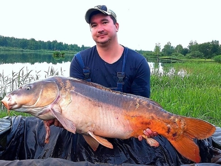 В Брянской области рыбак вытащил зеркального карпа более 16 кг (фото)