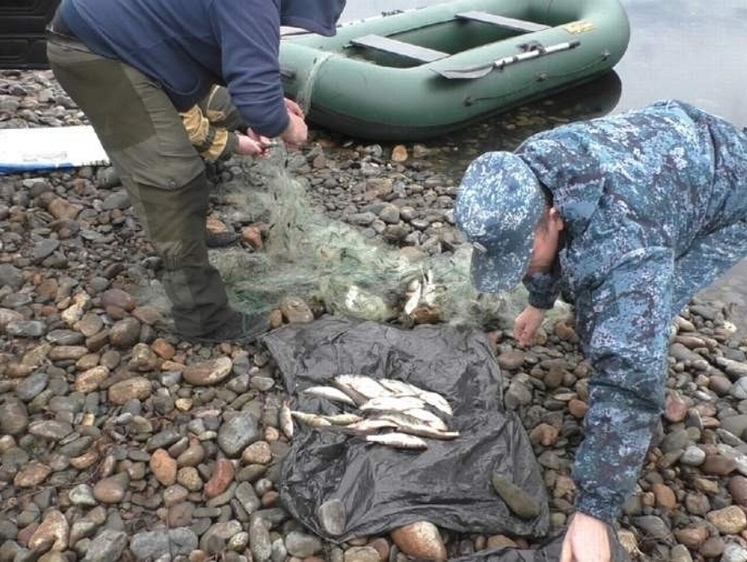 Изображение У рыбака из Кузбасса забрали лодку и сети за браконьерство