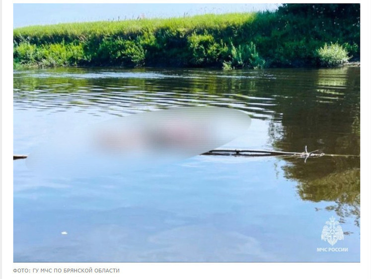 Изображение Утонувшего в Десне отдыхающего обнаружили брянские рыбаки
