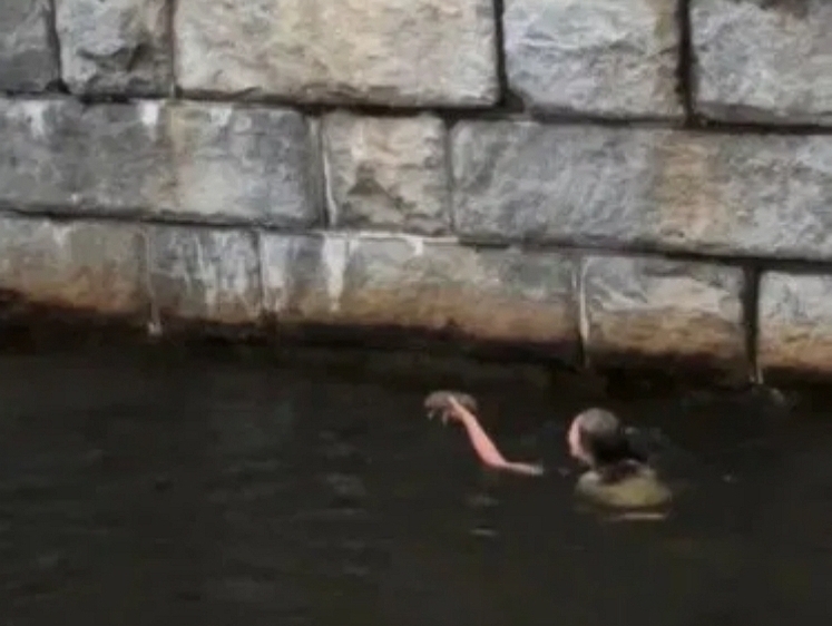 Американка не побоялась прыгнуть в грязную воду реки ради кролика