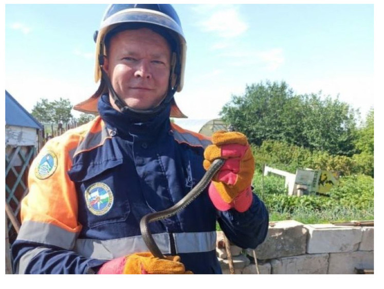 В башкирской деревне на помощь вызвали спасателей-змееловов