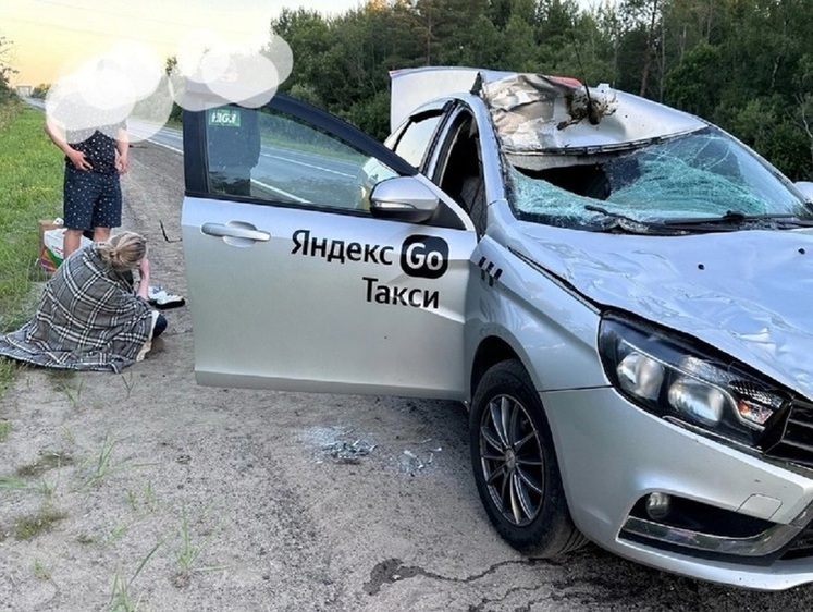 Минус сохатый: сбитый лось проломил крышу такси под Архангельском