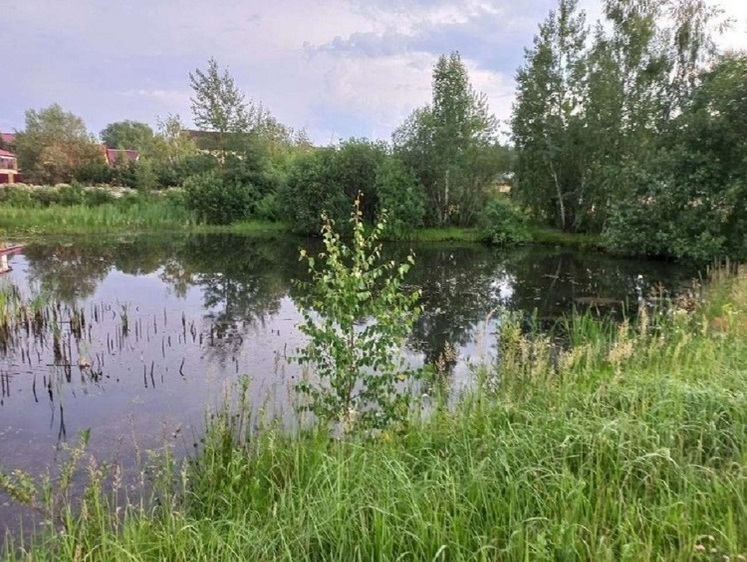 Изображение Установка водоохранных зон - эффективный путь борьбы с захватом воды