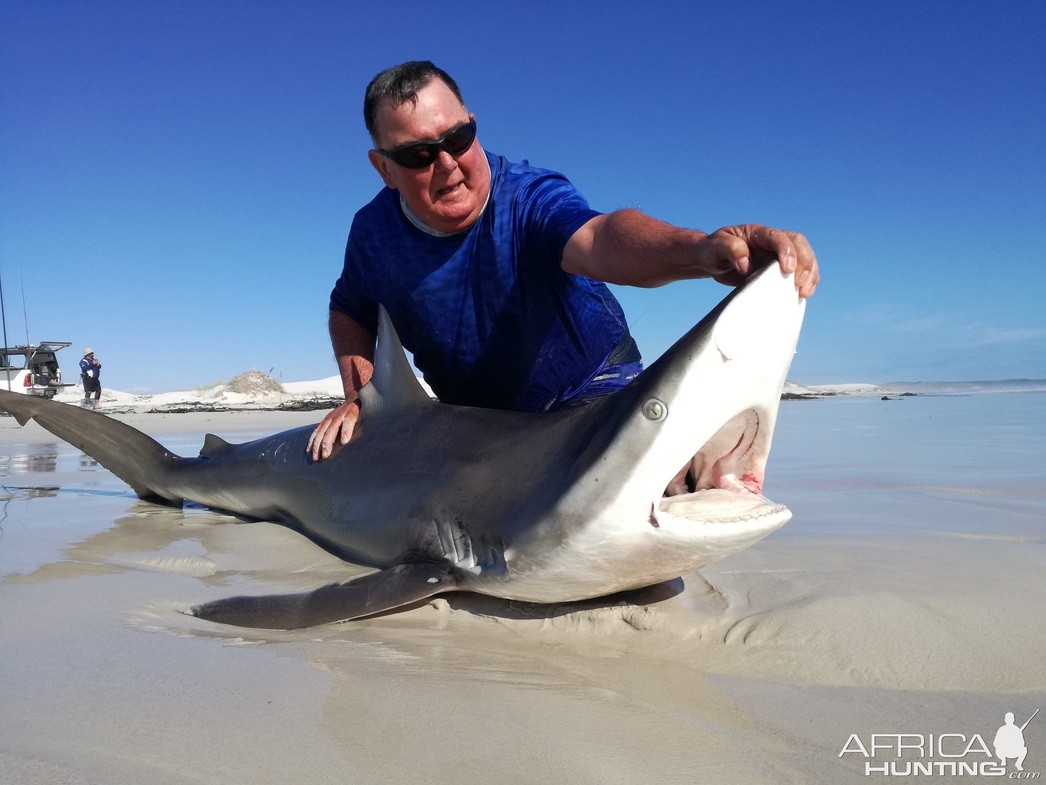 Ловля акул в Намибии