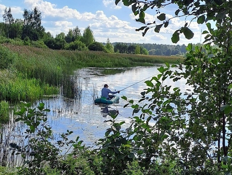 А в Подмосковье водятся лещи…