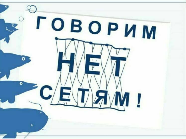 Изображение У нарушителей изъяли 246 кг рыбы и 40 кг отпустили в живом виде