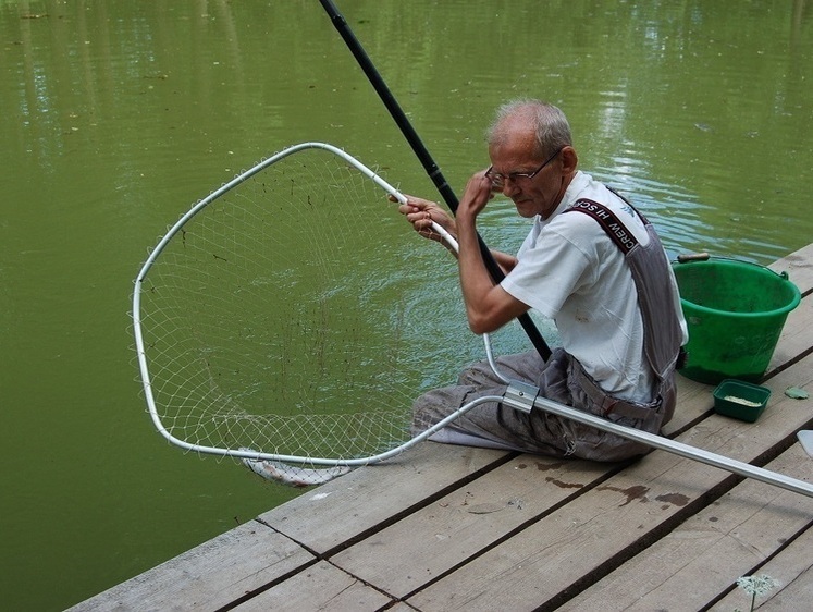 Ловля в камышах