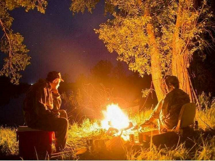 Изображение От лягушек до дроздов. Что можно есть в лесу при тяжелой ситуации