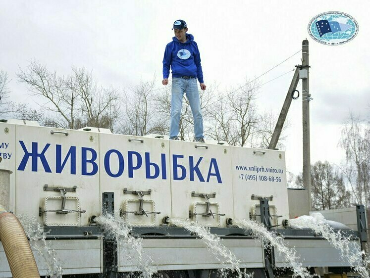 Изображение Осенний план зарыбления Волги сазаном, толстолобиком и стерлядью