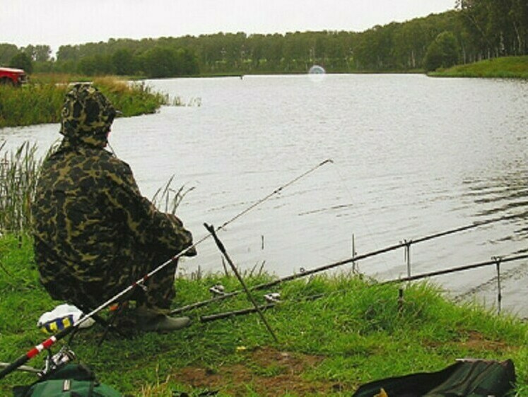 Прикормка для карася своими руками в домашних условиях - полезная статья от Carptravel