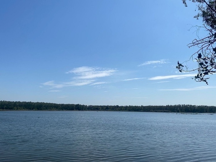 Изображение Сунженское водохранилище очистили от ила, растительности и мусора