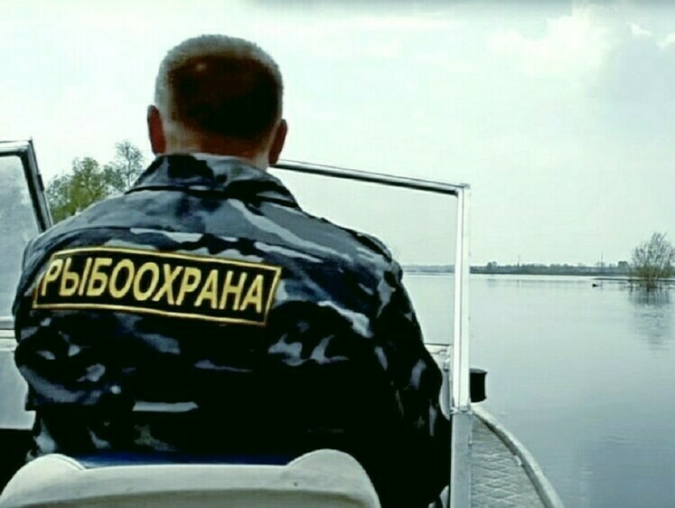 Изображение На Сахалине возбуждено уже 68 уголовных дел против браконьеров