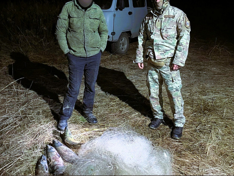 Изображение Пограничники и Росгвардия помогли задержать браконьера в нацпарке