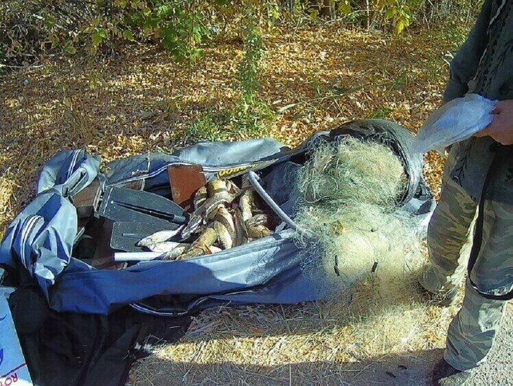 Изображение Водоемы Нижней Волги чистят от браконьеров, сетей, ловушек и багрилок