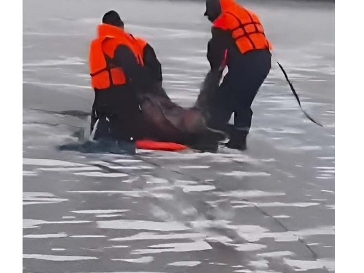 Изображение Амурские волны: рыбака вытащили из воды едва живого