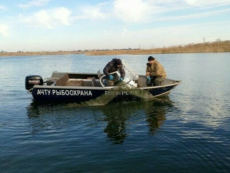 Изображение На Веселовском водохранилище прошел рейд по освобождению раков