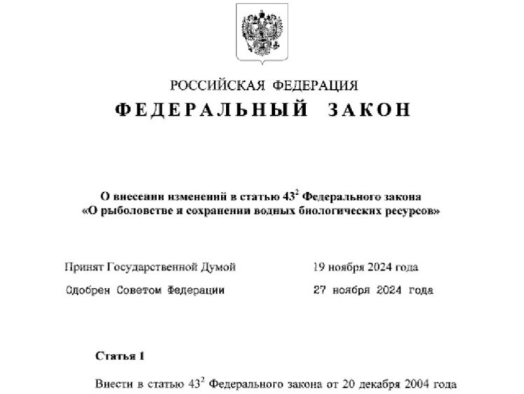 Изображение С марта 2025 рыбоохрана может работать в режиме постоянного рейда