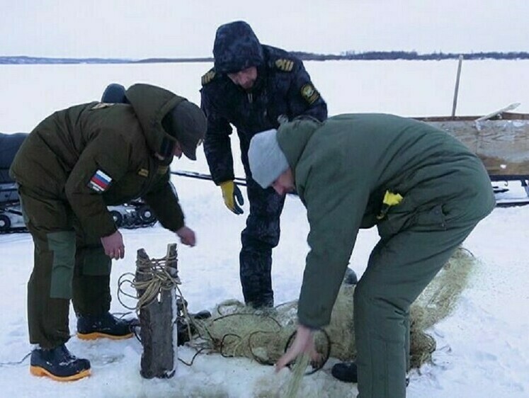 Изображение Браконьеры бросили сети с уловом и успели скрыться