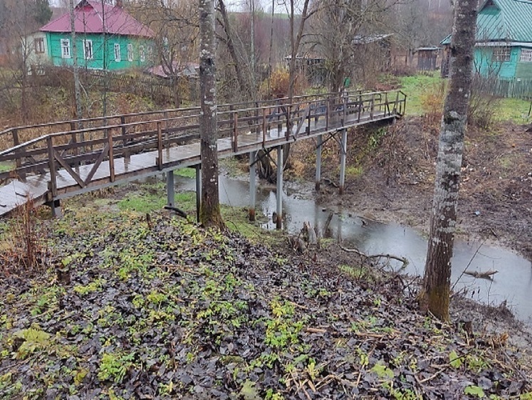 Изображение Завершена расчистка рек Лужа и Каменка в Калужской области