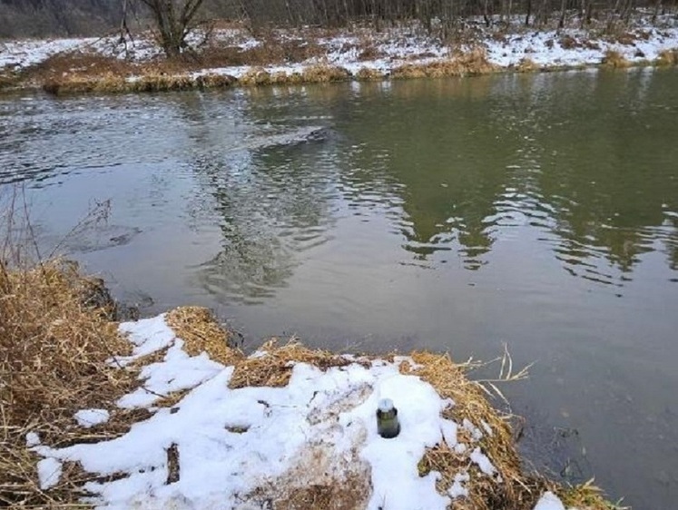 Изображение Подмосковная Дубна постепенно обретает свою водоохранную зону