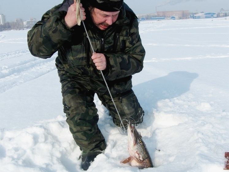 Изображение Вести с водоемов Марий Эл