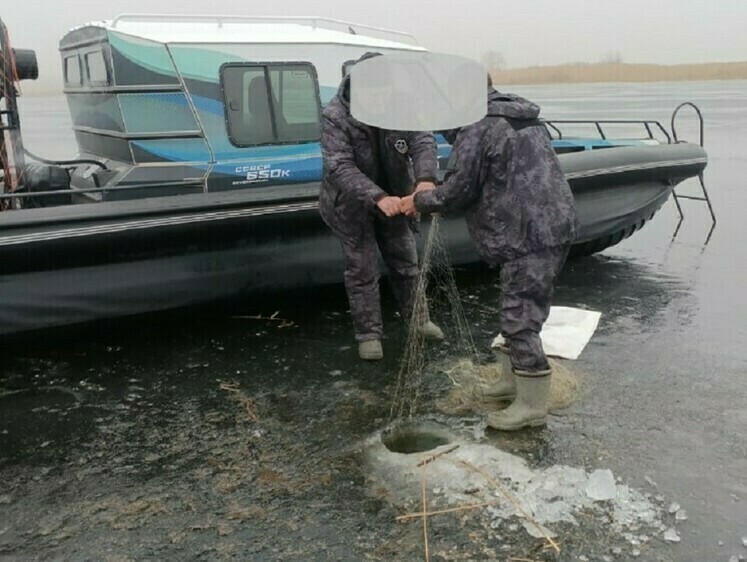 Изображение За неделю в Астраханской области рыбоохрана подняла километр сетей