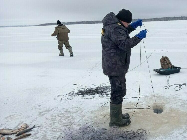 Изображение Браконьер серьезно подготовился к рыбодобыче